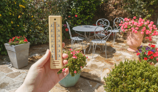 How to look after your garden during a heatwave