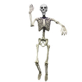 Haunted Haven Poseable Skeleton | 5ft
