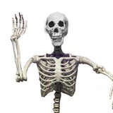 Haunted Haven Poseable Skeleton | 5ft