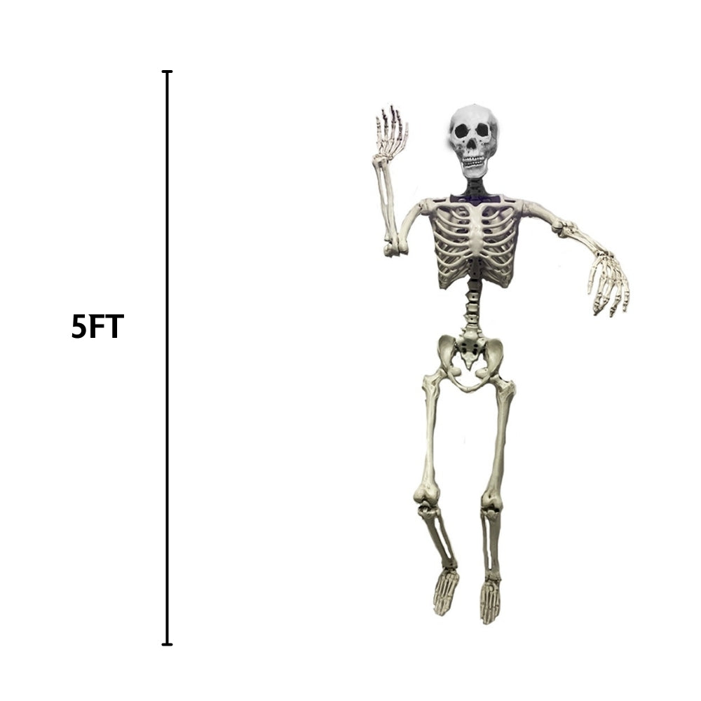 Haunted Haven Poseable Skeleton | 5ft