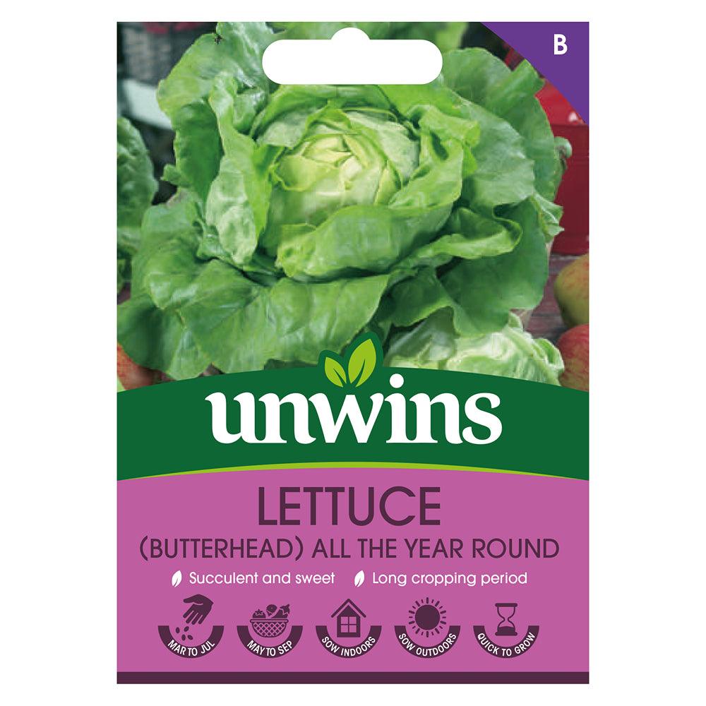 Unwins Butterhead Lettuce All Year Round Seeds - Choice Stores