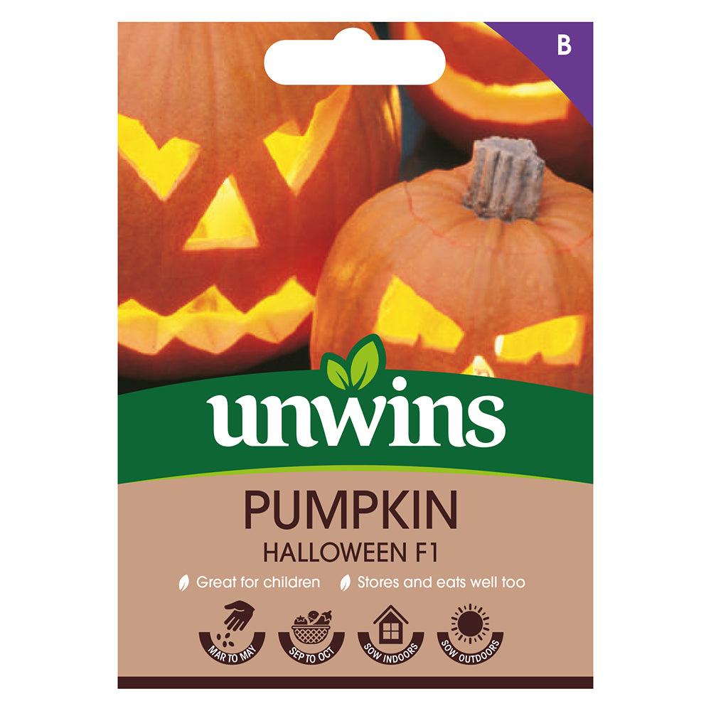 Unwins Pumpkin Halloween F1 Seeds - Choice Stores