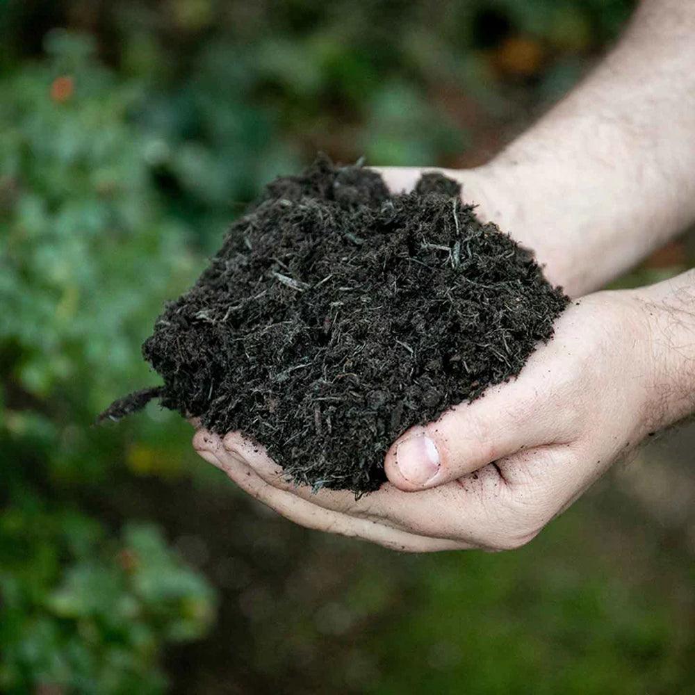 Westland The Gardeners Multi Purpose Compost | 80L - Choice Stores