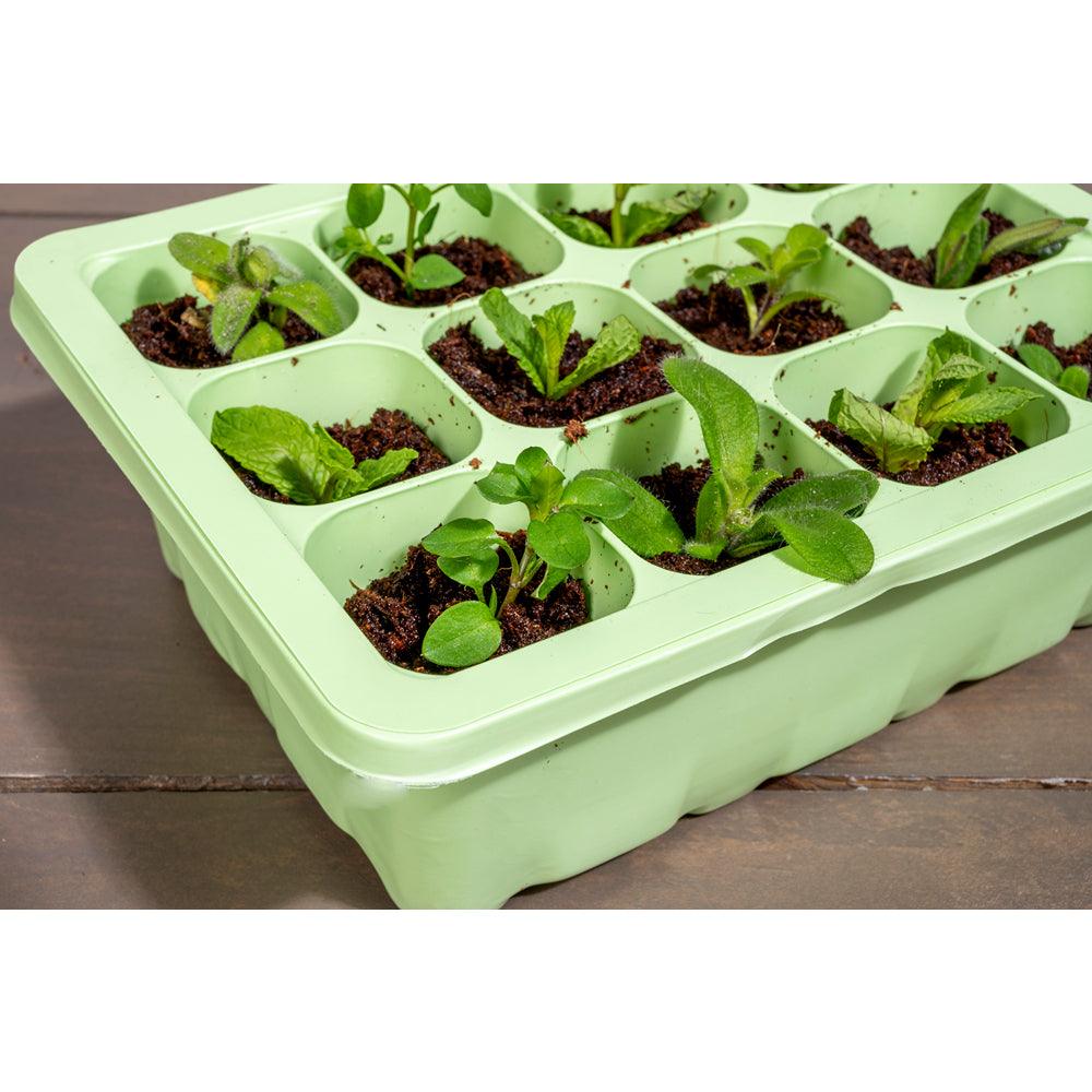 Kinzo Seed Planter Box | 190 x 150 x 50mm - Choice Stores