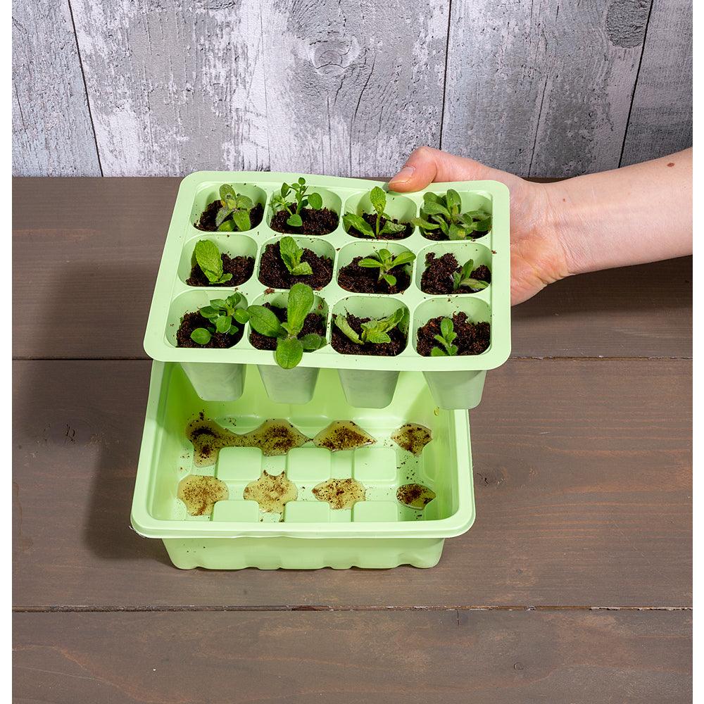 Kinzo Seed Planter Box | 190 x 150 x 50mm - Choice Stores