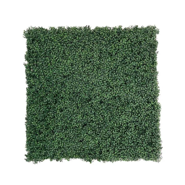 WonderWal Expandable Trellis Buxus Wall Cover | 100 x 100cm