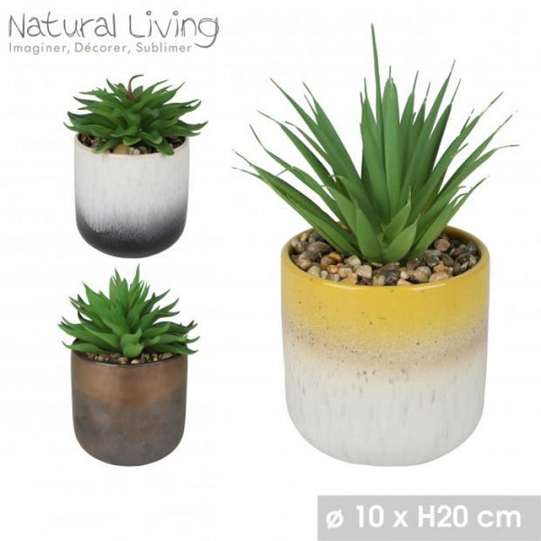 Urban Living Artificial Succulent in Gradient Ceramic Pot | 20cm