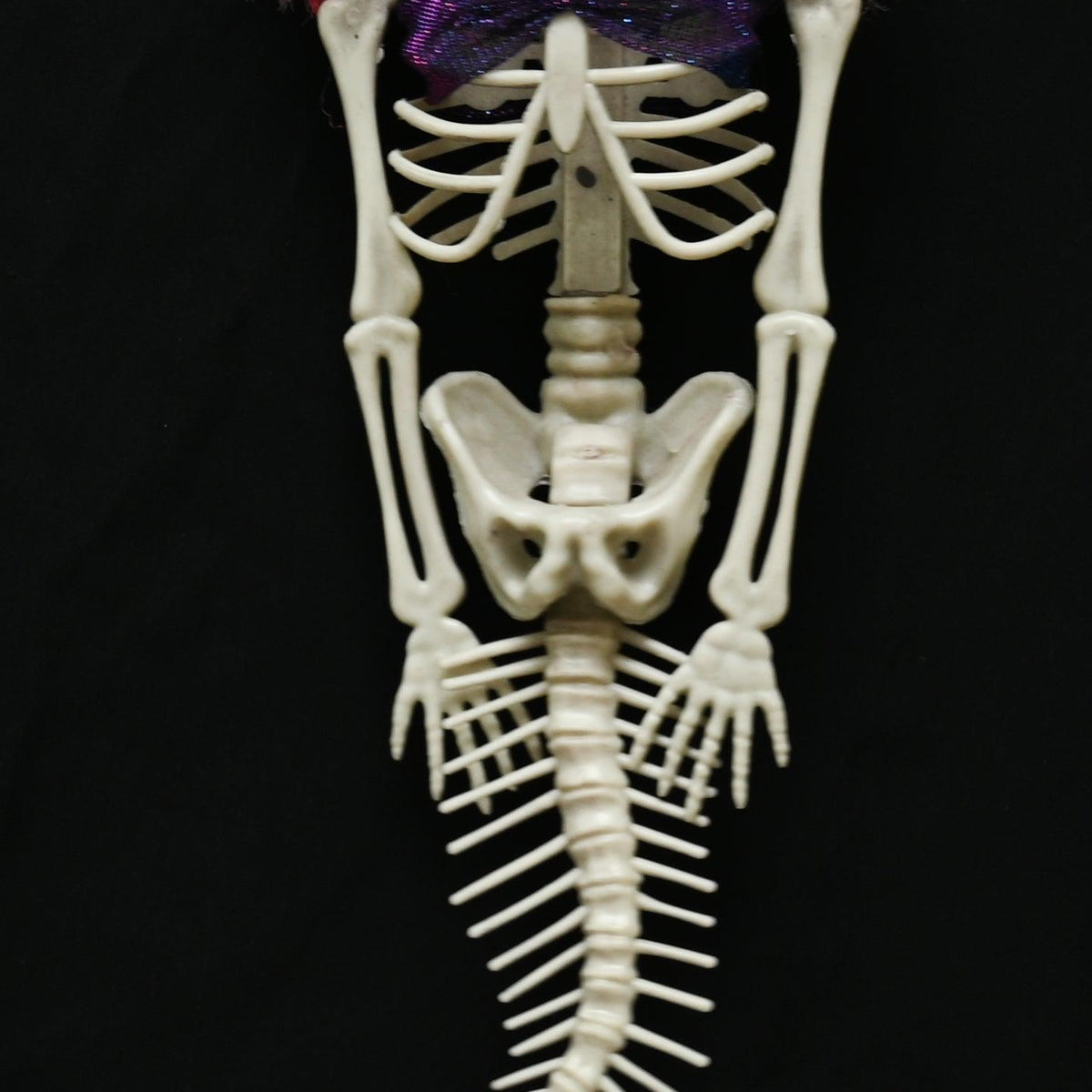 Boo! Mermaid Skelton with Pink Wig | 39cm - Choice Stores