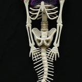 Boo! Mermaid Skelton with Pink Wig | 39cm - Choice Stores