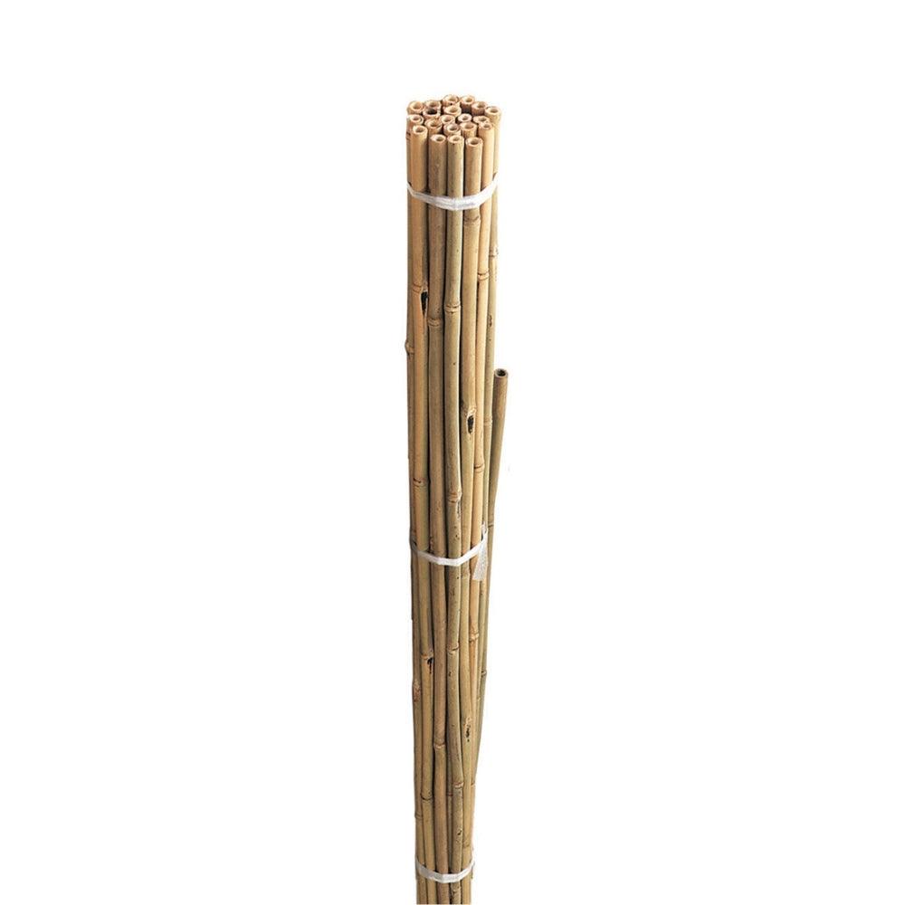 Grow It Bamboo Canes Bulk Bundle 210cm | Pack of 10 - Choice Stores