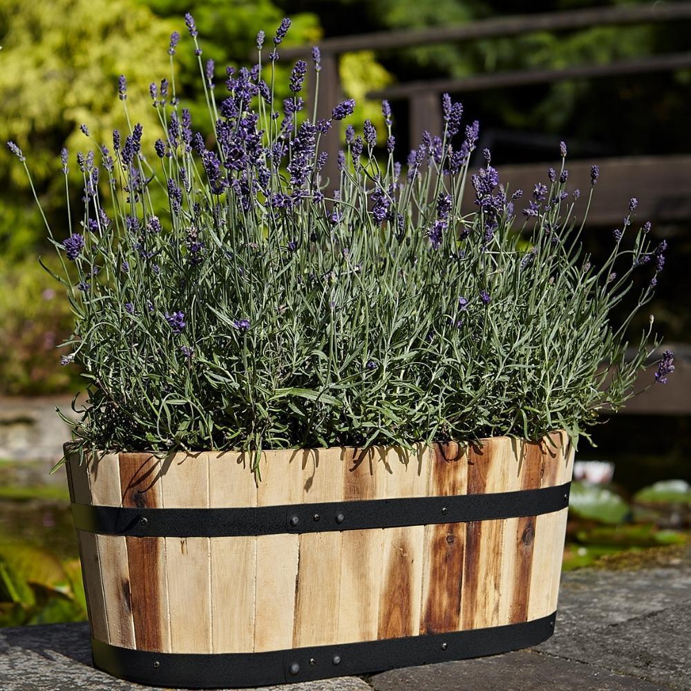 Tom Chambers Applewood Trough Planter | Large - Choice Stores