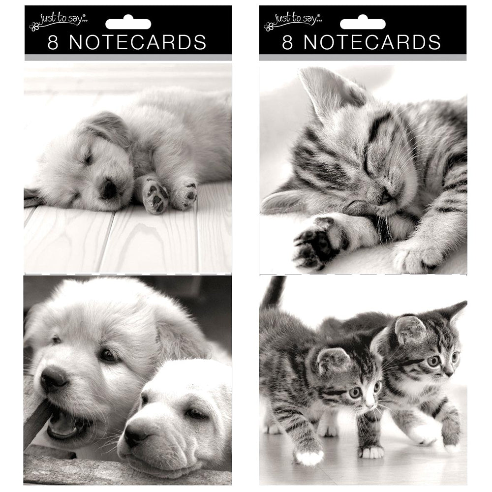 Just to Say Square Cat/Dog Notecards | Pack of 8