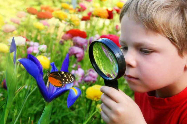 10 Fun Ways to entertain your kids in the garden