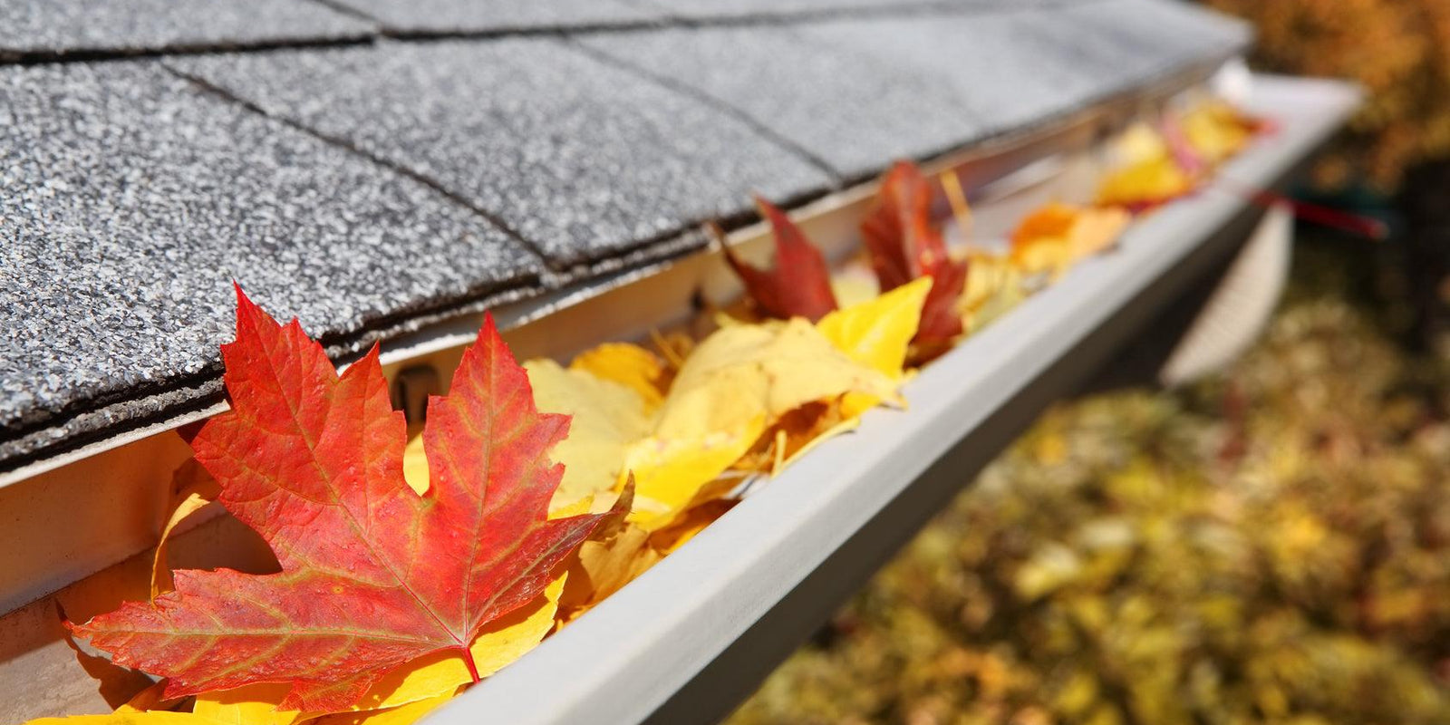 Autumn Home Maintenance Checklist