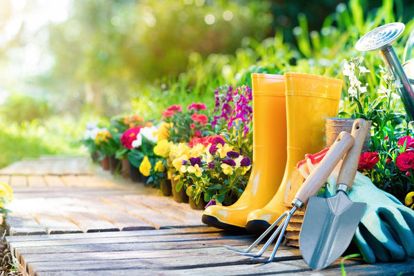 Essential Gardening Tips for May