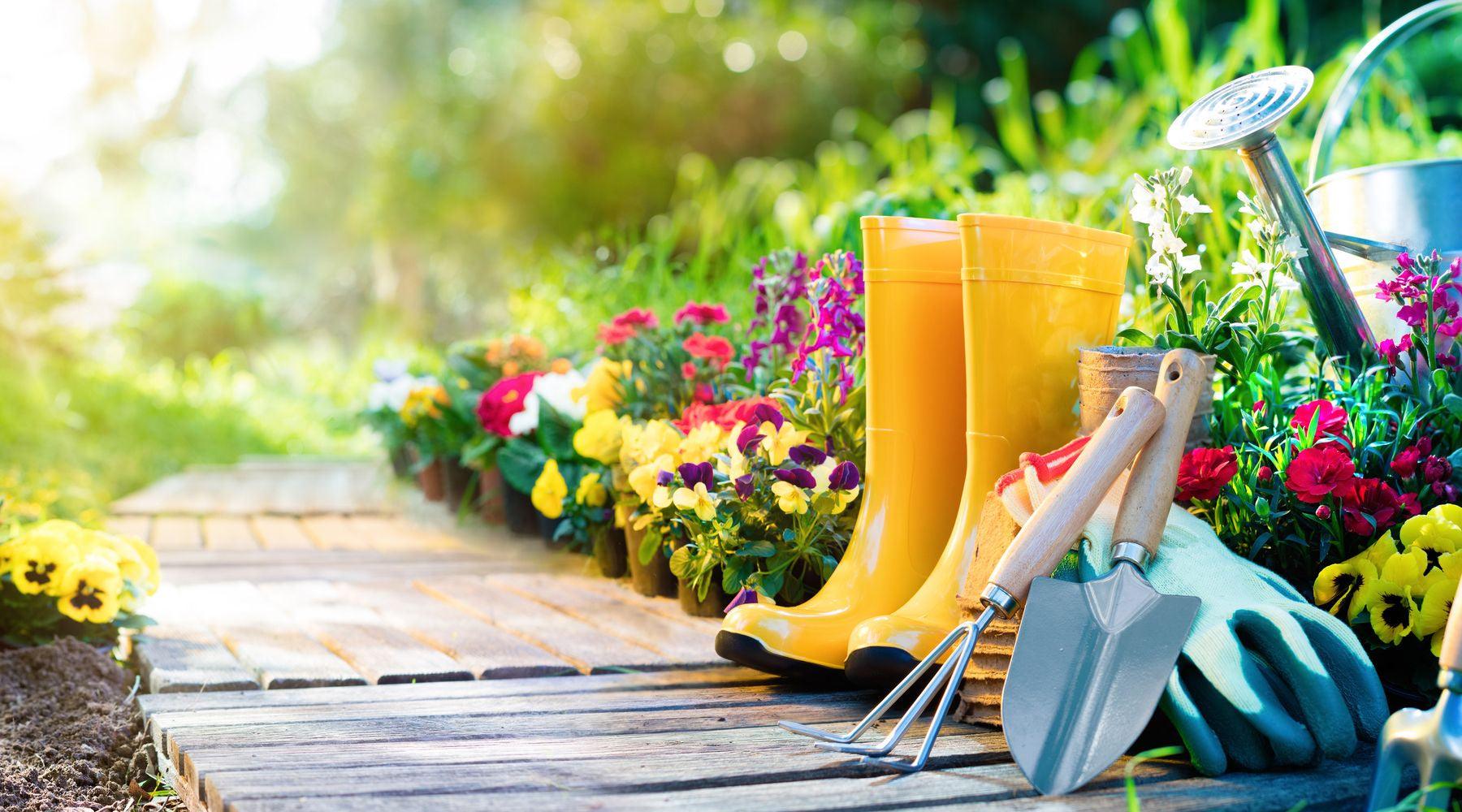 Essential Gardening Tips for May