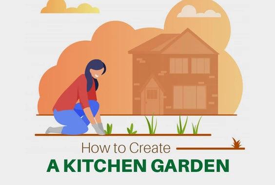 Gardening for Beginners