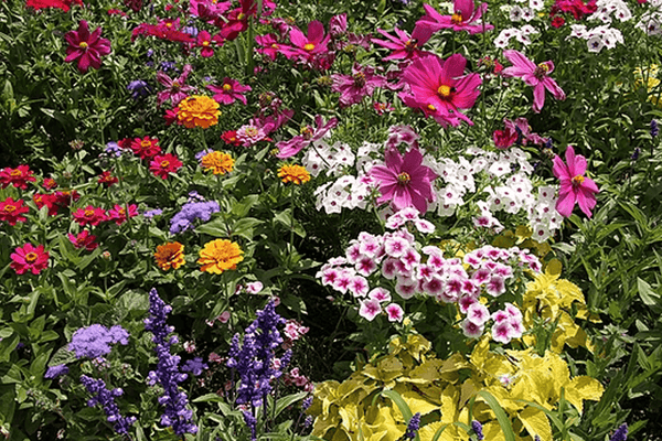 gardening tips for april