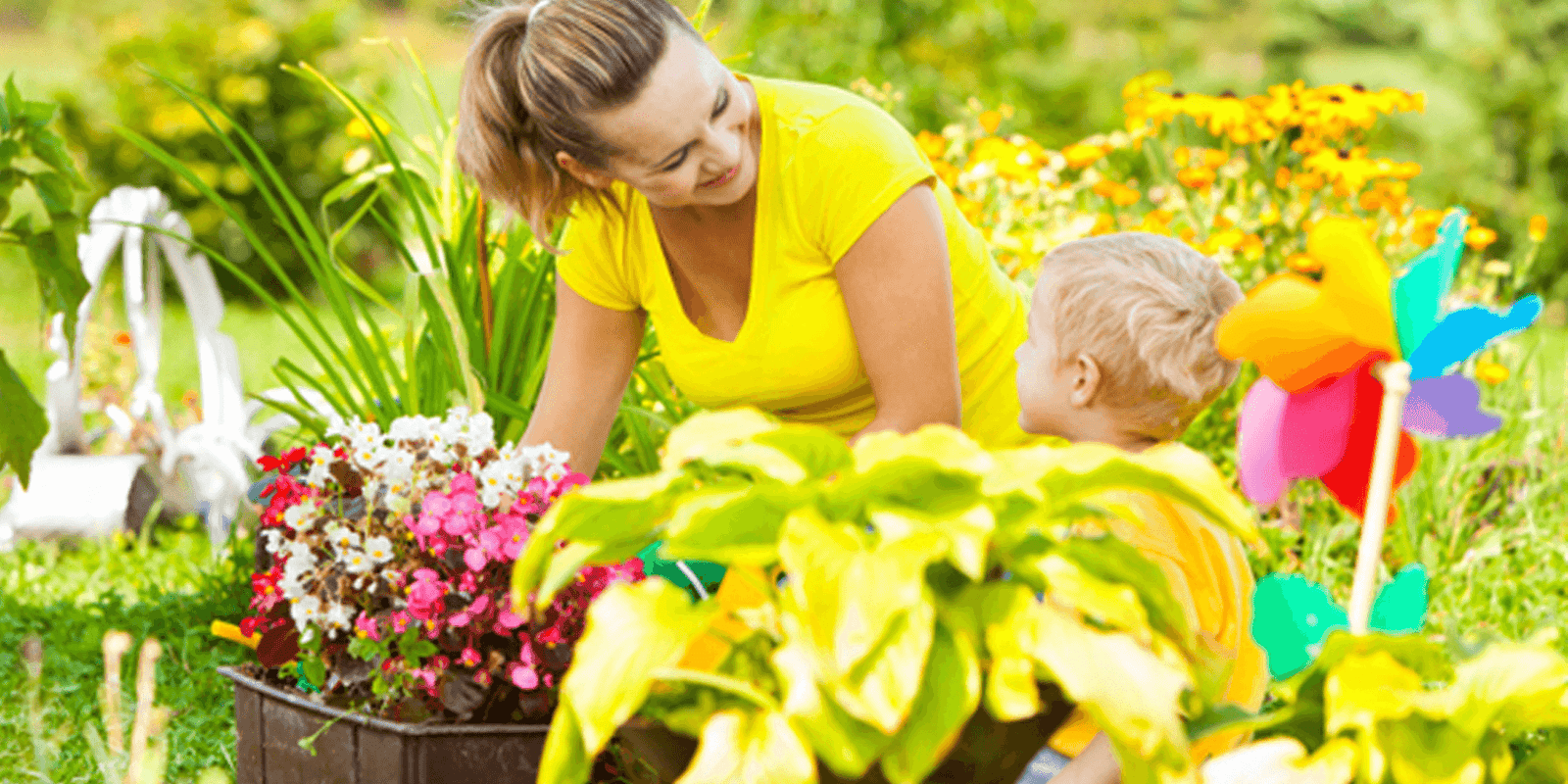 How Best to Prepare Your Garden for Summer