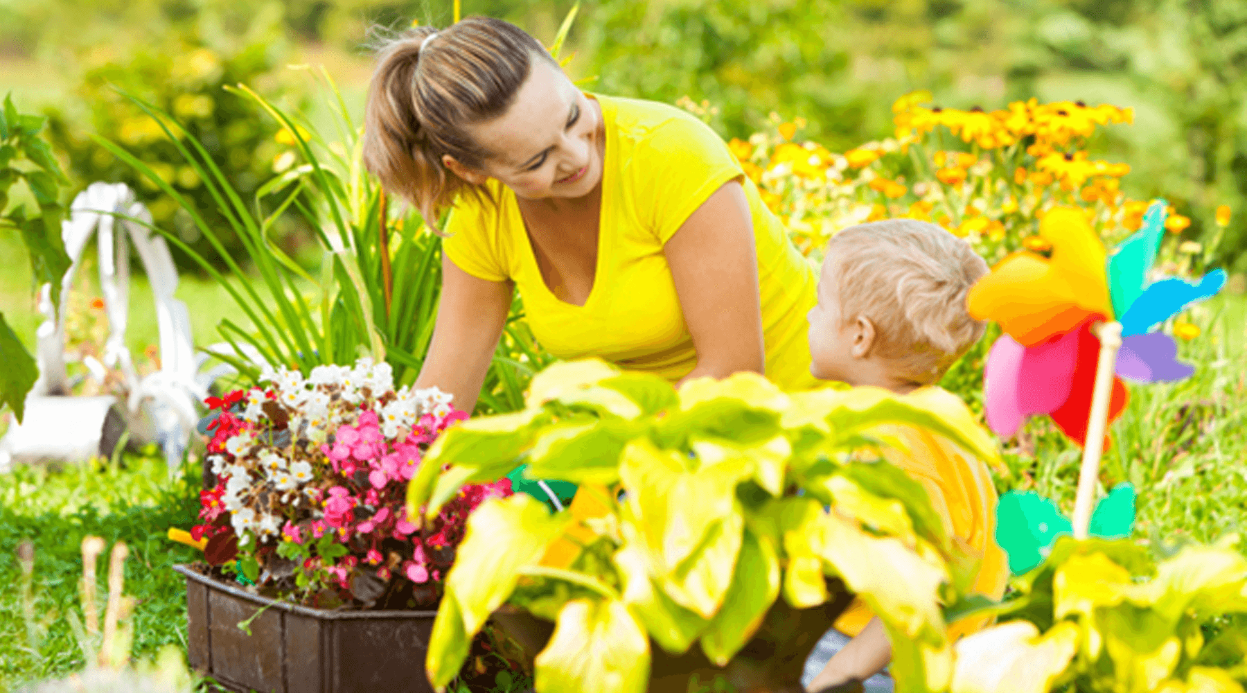 How Best to Prepare Your Garden for Summer