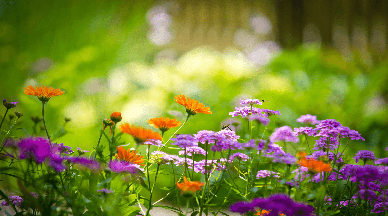 Decoupage Paper Napkins of backyard Garden Summer Flowers with Wheelbarrow  and Bird