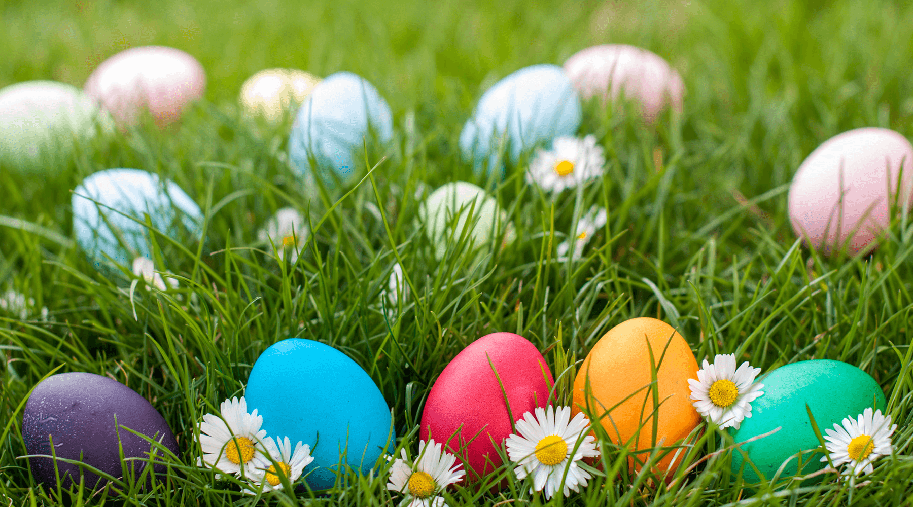 Novel Easter Egg Hunt Ideas