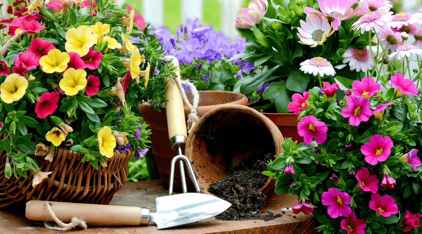 Decoupage Paper Napkins of backyard Garden Summer Flowers with Wheelbarrow  and Bird