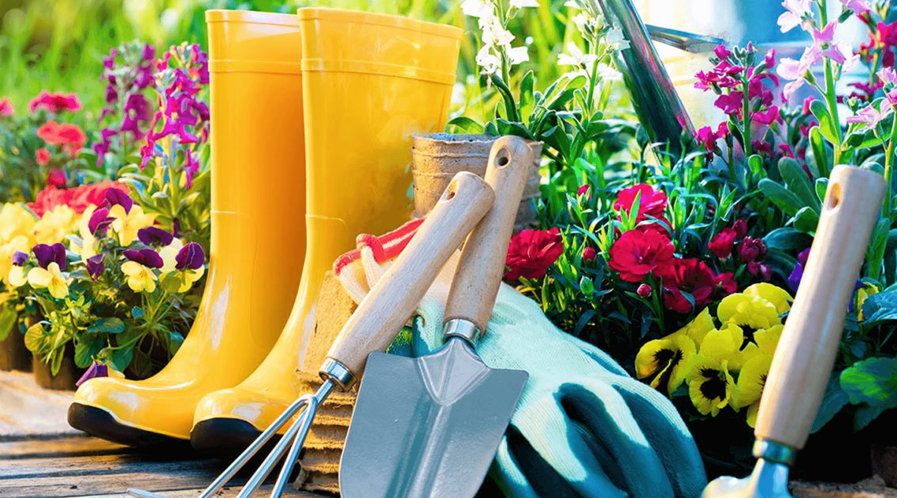 Spring Garden Maintenance Tips
