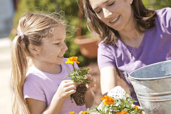 summer gardening tips