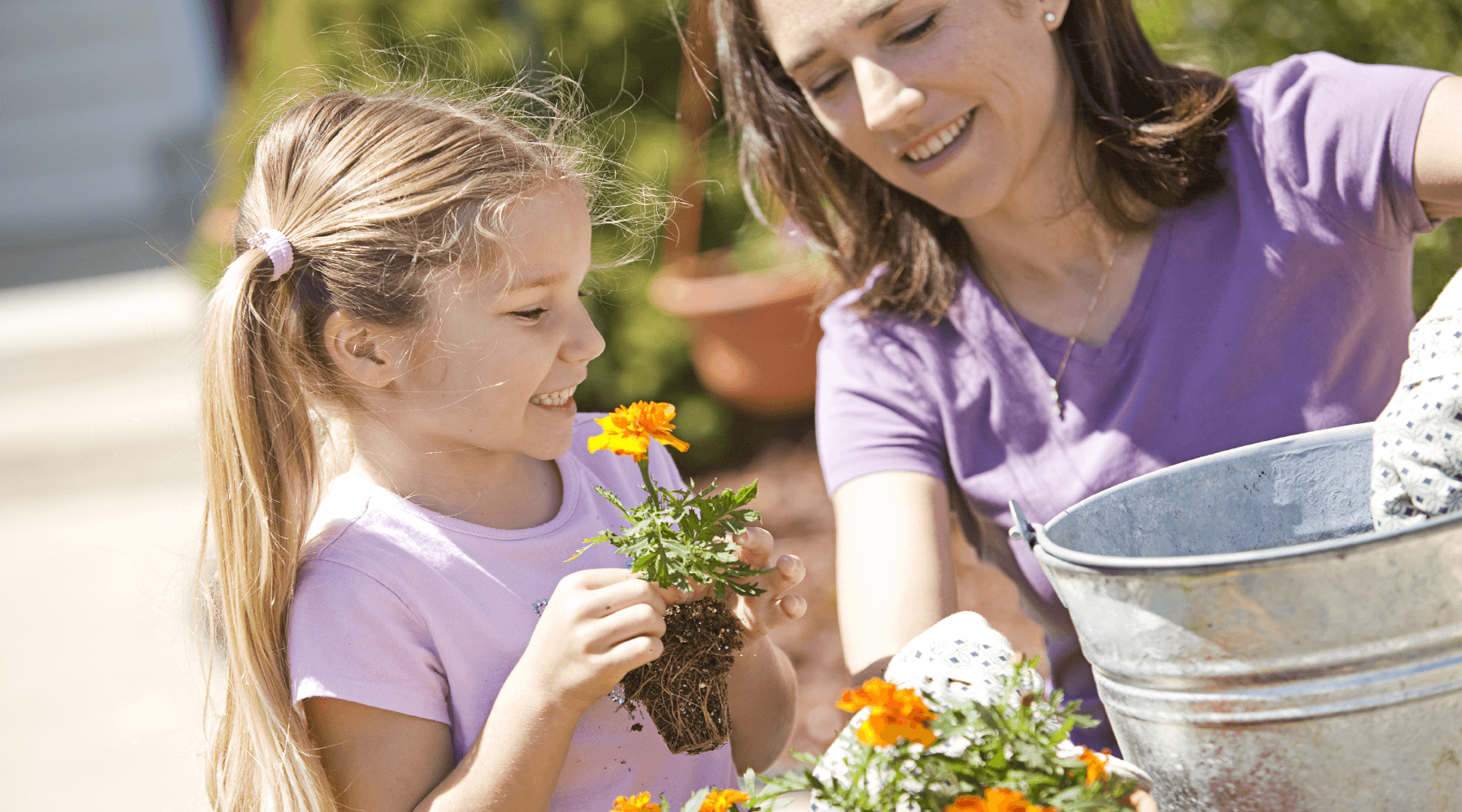 summer gardening tips