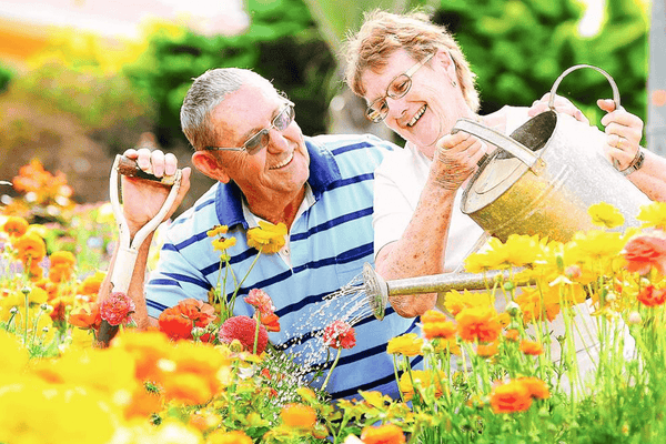 Tips to Prepare Your Garden for Spring