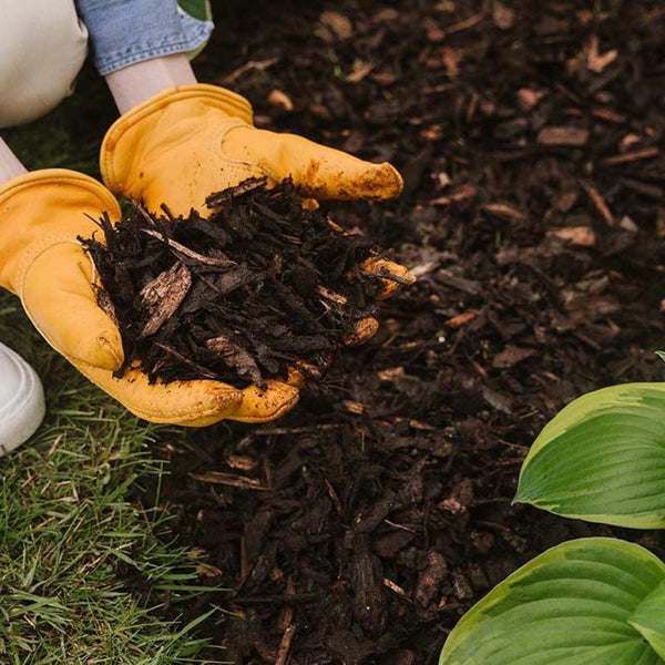 Compost & Bark