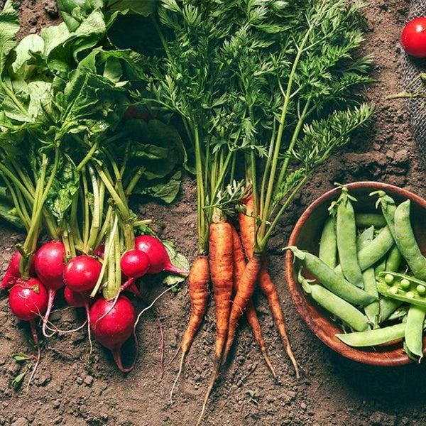 Fruit , Vegetables & Herbs