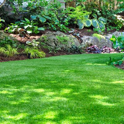 Artificial Grass - Choice Stores