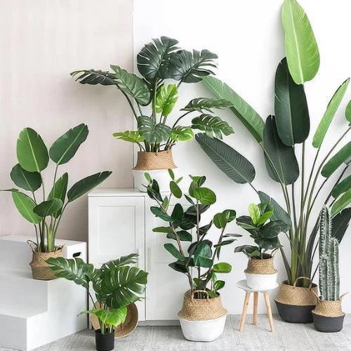 Faux Plants & Trees