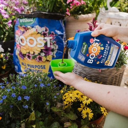 Garden Care | Keep Your Garden Thriving