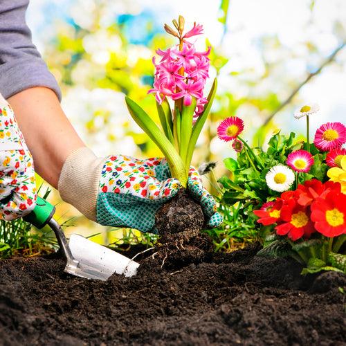 Grow Your Garden - Choice Stores
