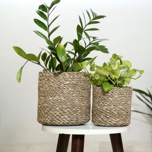 Indoor Plant Pots