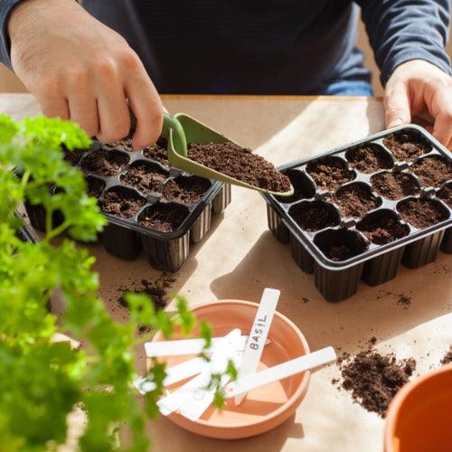 Planting & Growing – Everything You Need for a Thriving Garden
