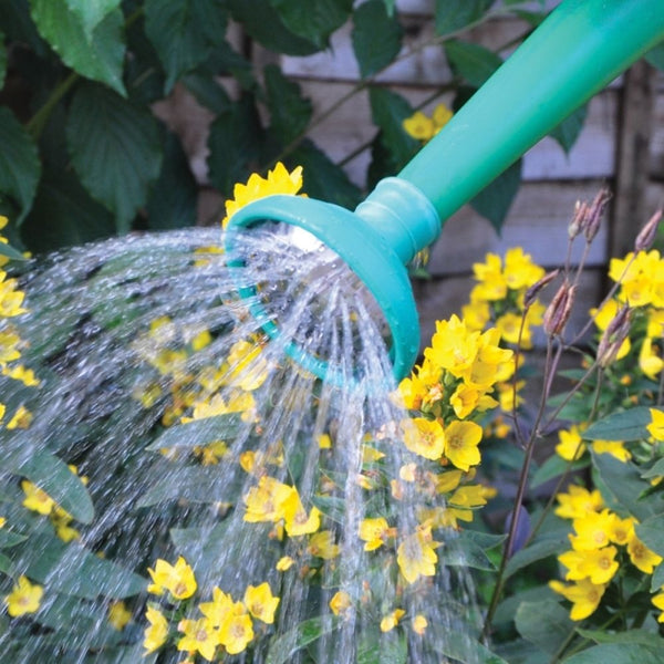 Kingfisher Metal Watering Can Rose