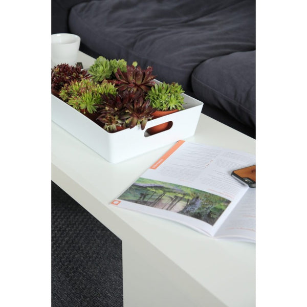 Studio White Rectangular Storage Basket | Cut-Out Handles, Low-Profile
