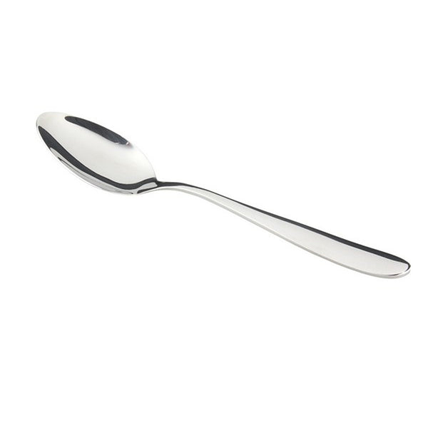 Apollo Amalfi Stainless Steel Spoon | Mirror Polish, One-Piece