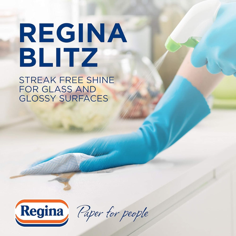 Regina Household Towels Blitz | 2 Rolls