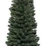 Everlands Slim Pencil Pine Artificial Christmas Tree | 6ft