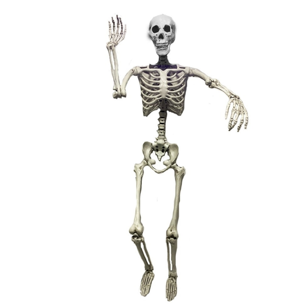 Haunted Haven Poseable Skeleton | 5ft 