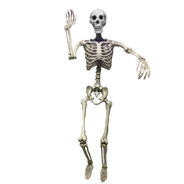 Haunted Haven Poseable Skeleton | 5ft 