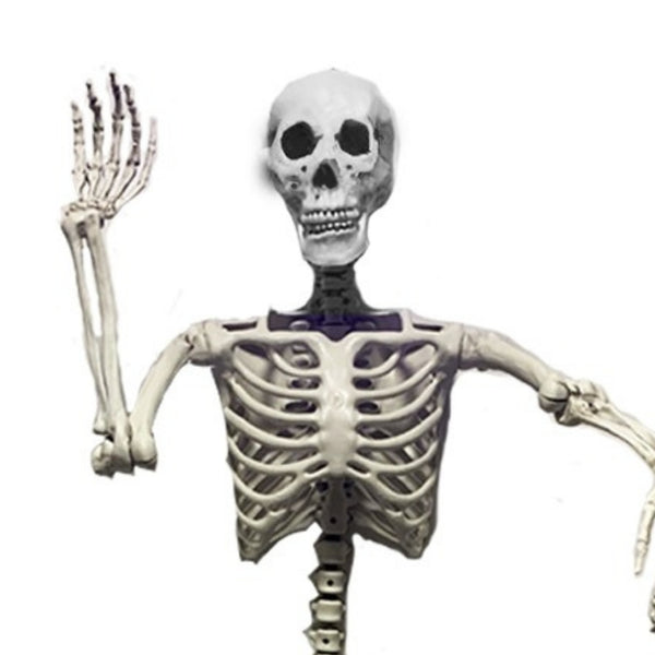 Haunted Haven Poseable Skeleton | 5ft 
