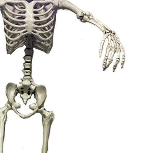 Haunted Haven Poseable Skeleton | 5ft 