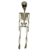 Haunted Haven Anatomically Accurate Skeleton Standing Stake 70cm