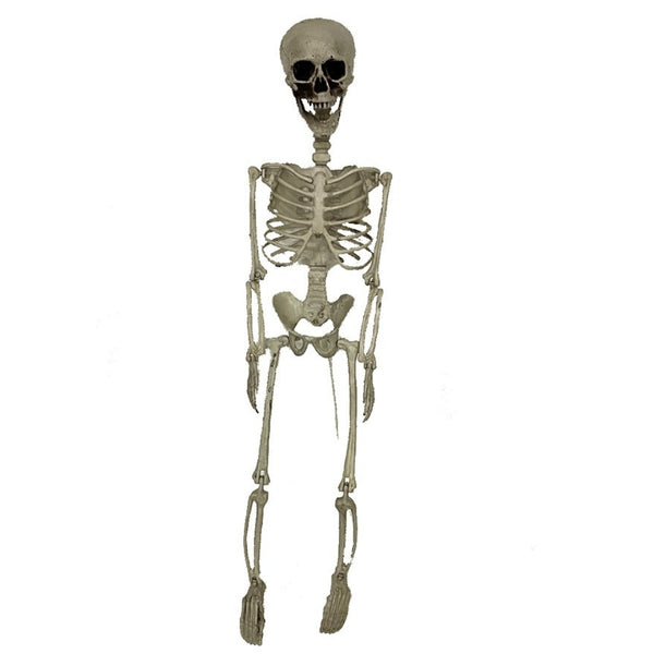 Haunted Haven Anatomically Accurate Skeleton Standing Stake 70cm